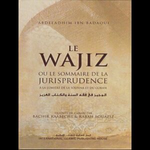Le Wajiz ou le sommaire de la jurisprudence