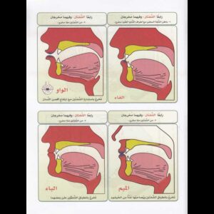 Science du Tajwid du Saint Coran d'aprèsYahya Abderrazak Al Ghawthani - Niveau 2 - علم التجويد